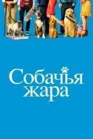 Собачья жара